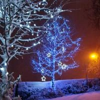 Гирлянда Клип Лайт Спайдер D5203 BD 5х20 м 1000 LED IP44 белый