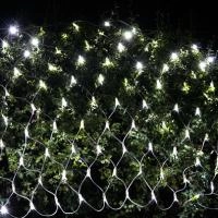 Гирлянда светодиодная сетка D2101 BS 2х1 м 200 LED белый