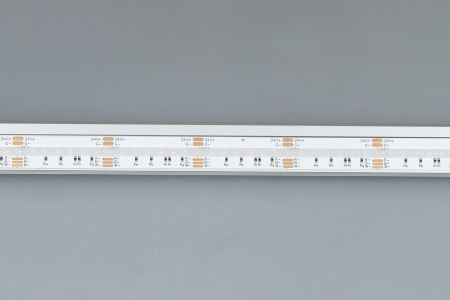 Лента CSP-X840-12mm 24V RGBW-Day (17.2 W/m, IP20, 5m)  (Arlight, 5 лет)