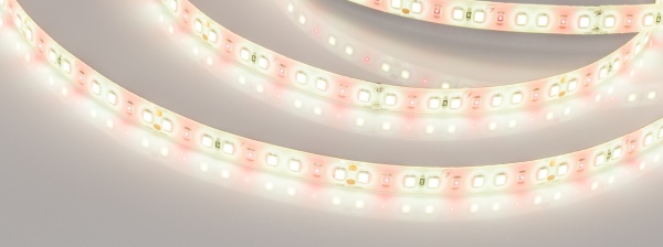 Лента FITOLUX-SE-A144-10mm 24V Day4000-Red (14 W/m, IP65, 2835, 5m) (Arlight, 14 Вт/м, IP65)