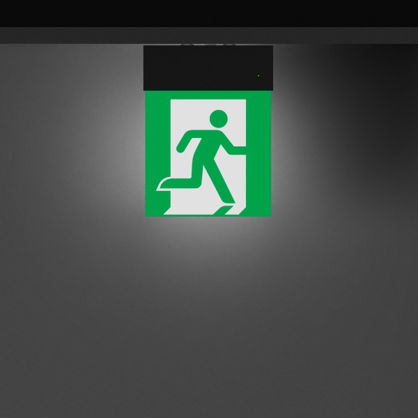 Световой указатель EMG-MARK-S-3H-BK (Arlight, IP40 Металл, 5 лет)