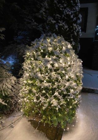 Гирлянда светодиодная сетка D2101 BS 2х1 м 200 LED белый