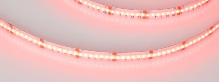 Лента CSP-X840-12mm 24V RGBW-Warm (17.2 W/m, IP20, 5m) (Arlight, 5 лет)