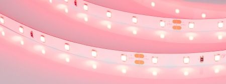 Лента RT-A60-8mm 24V Ruby (4.8 W/m, IP20, 5m) (Arlight, -)