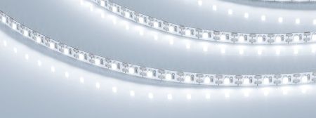 Лента FC-M160-4mm 24V White6000-CX1 (10 W/m, IP20, 5m)  (Arlight, резка 1 светодиод)