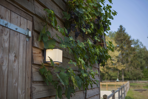 Светильник наcтенный, потолочный "Куб", WC2123, LED 19,1W 3000К, 4200К. IP54, темно серый