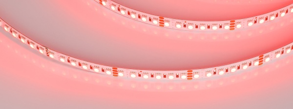 Лента RT-H120-10mm 24V RGB (13.2 W/m, IP20, 4040, 5m) (Arlight, Открытый)