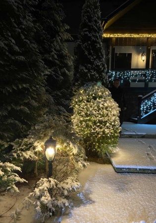 Гирлянда светодиодная сетка D2102 BD 2х1 м 200 LED бело-синий