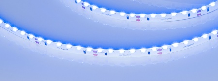 Лента RS-S120-8mm 24V Blue (9.6 W/m, IP20, 3014, 5m) (Arlight, боковое свечение)