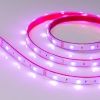 Лента герметичная RTW-PS-B30-13mm 12V RGB (7.2 W/m, IP67, 5060, 5m) (Arlight, -)